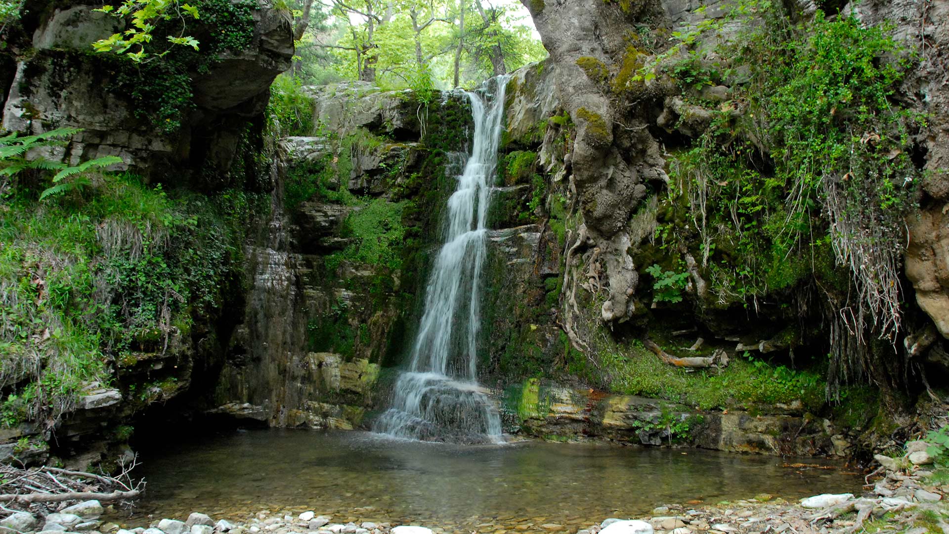 Holidays with a naturalistic attitude 3