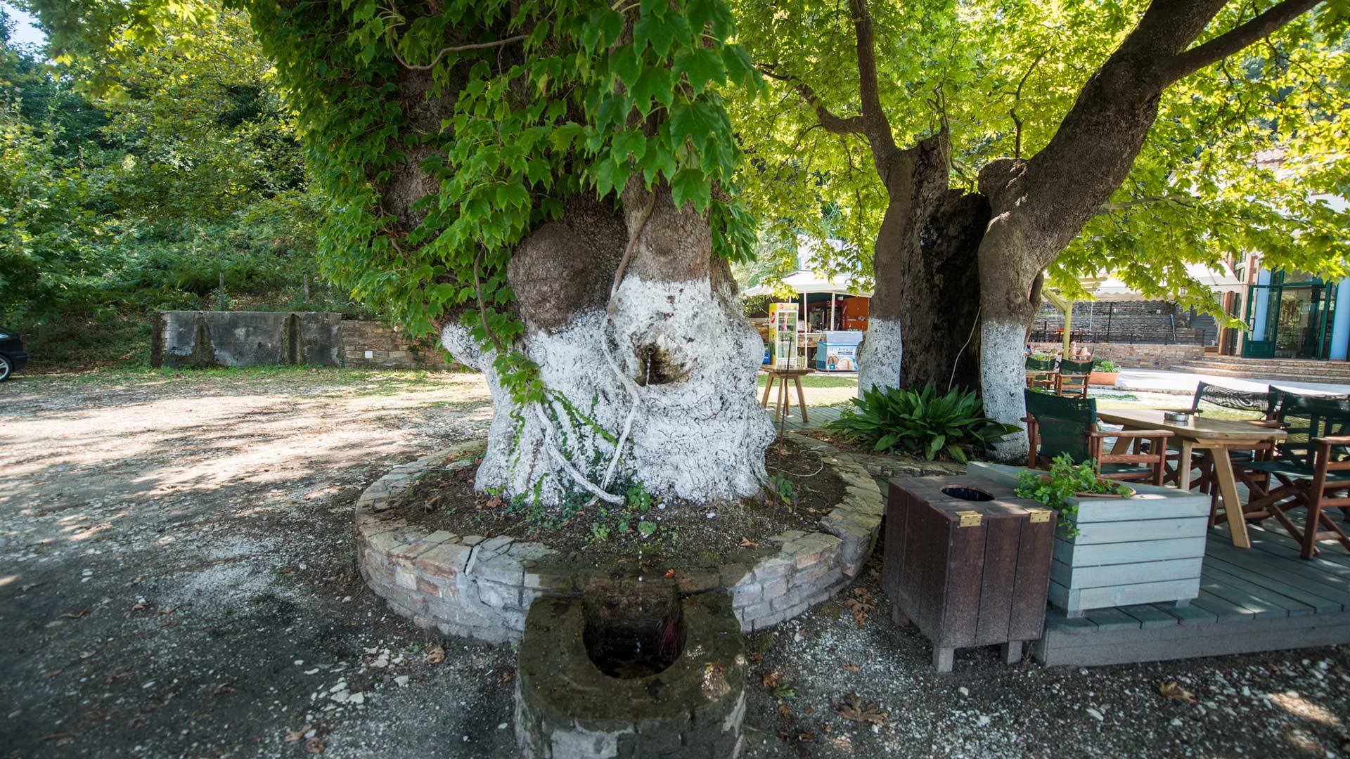 Holidays with a naturalistic attitude 2