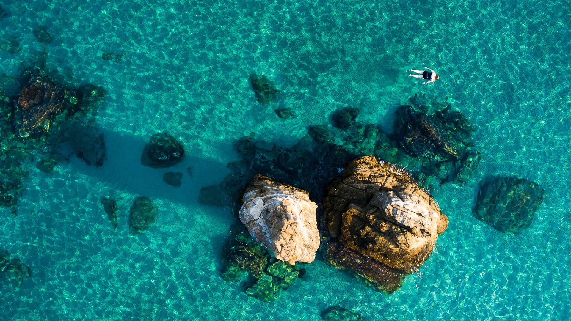 Holidays with a naturalistic attitude 4