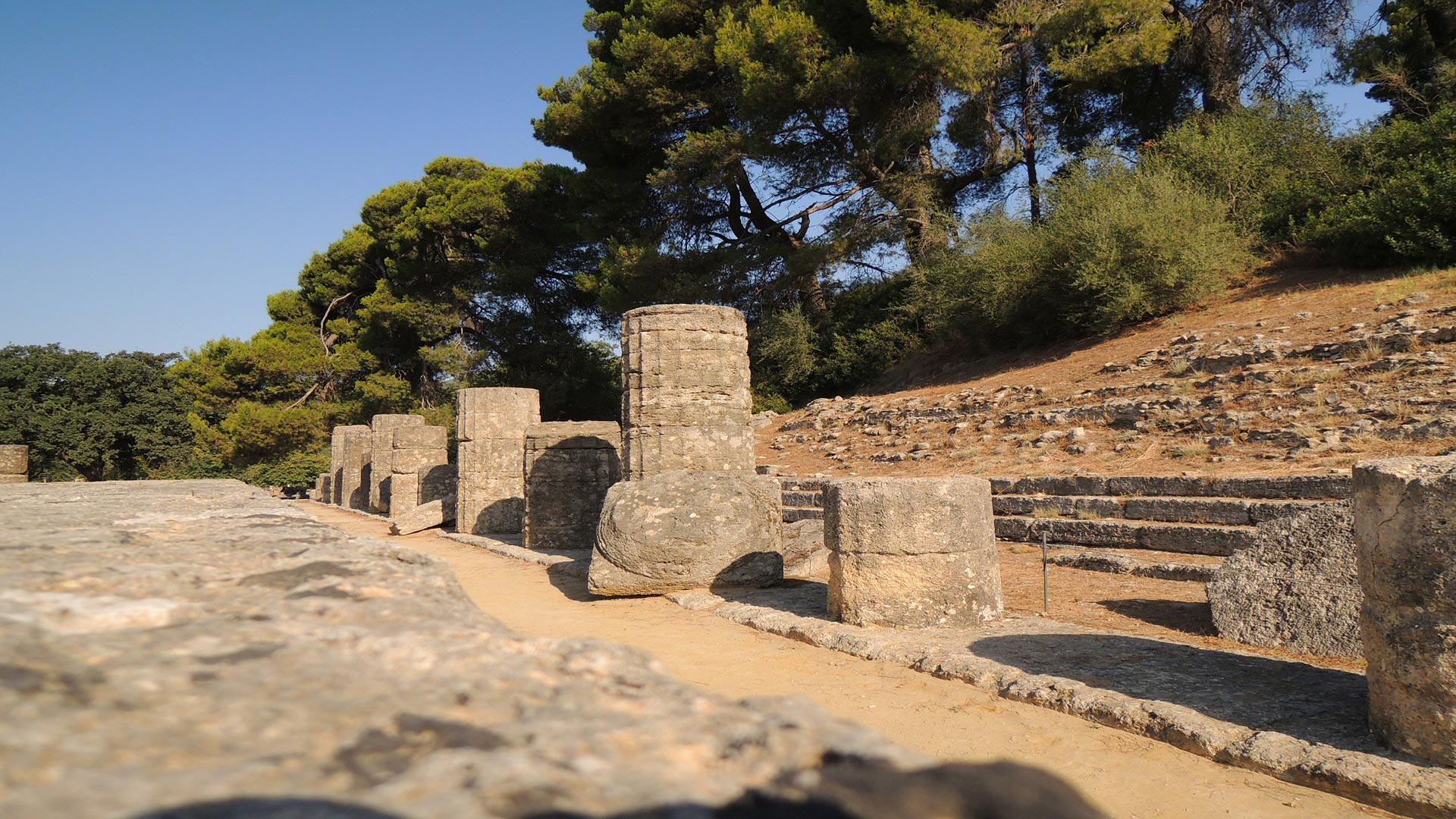 Image Ξεναγός