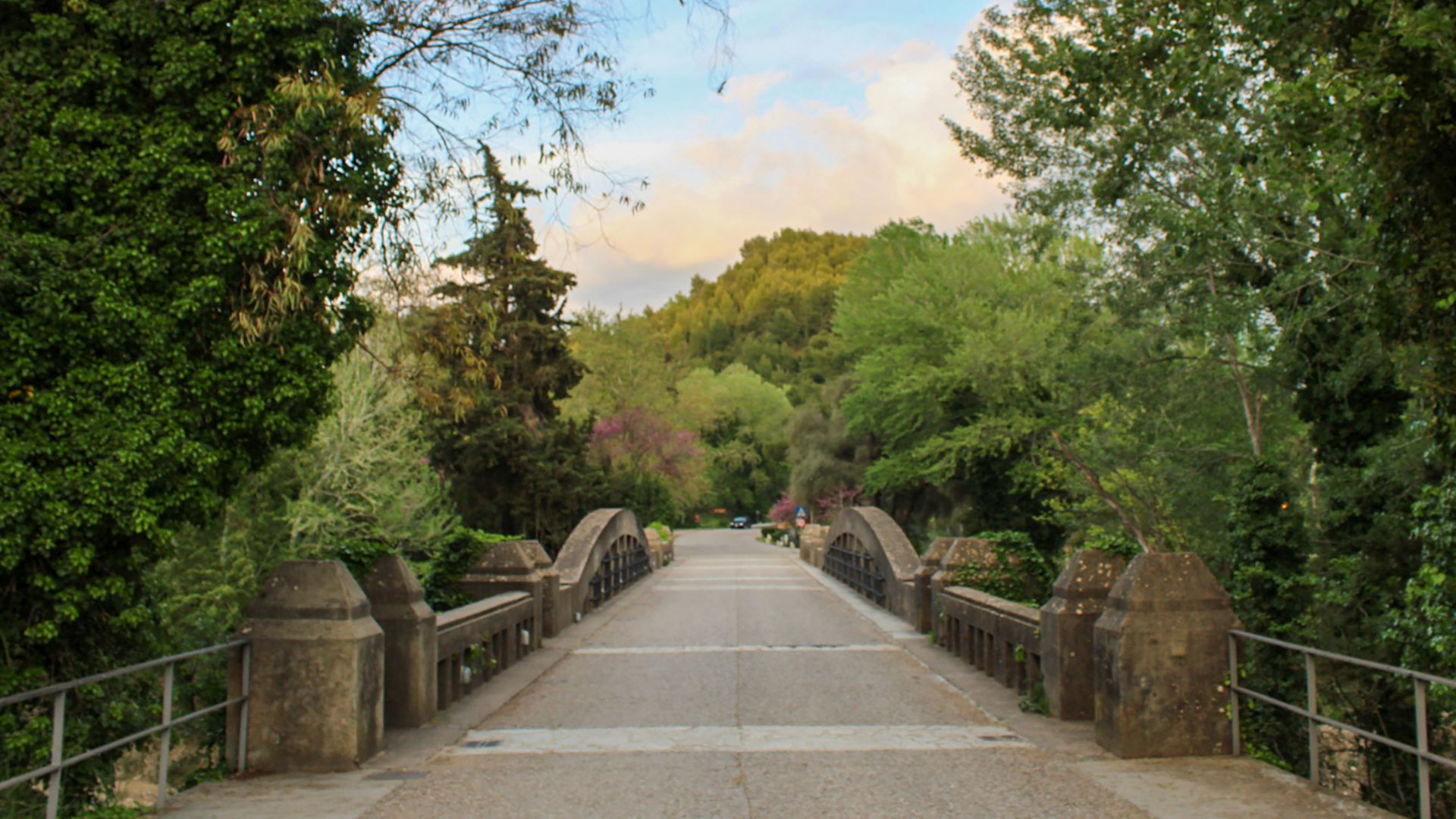 Olympia Trecking