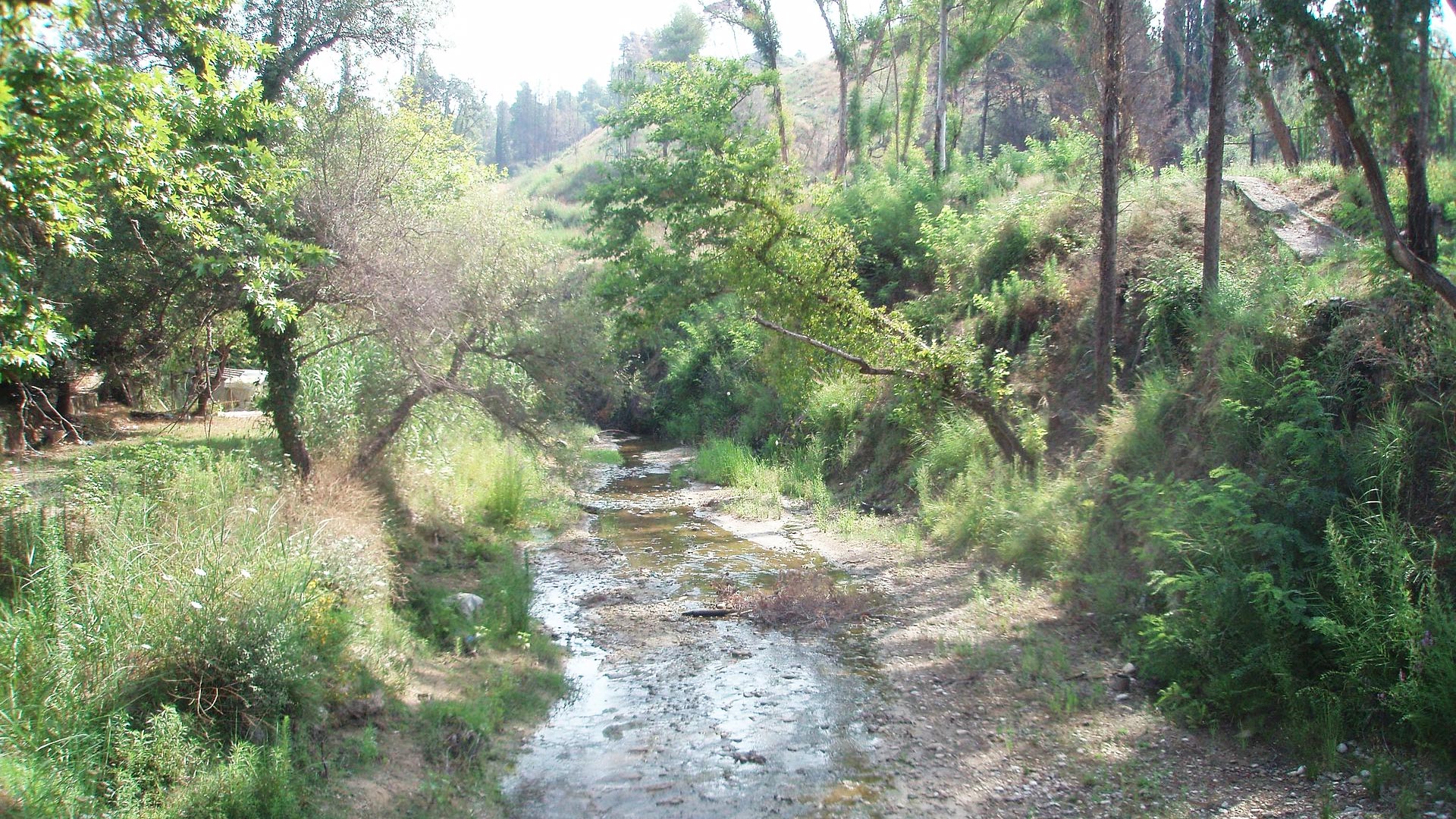 Kladeos