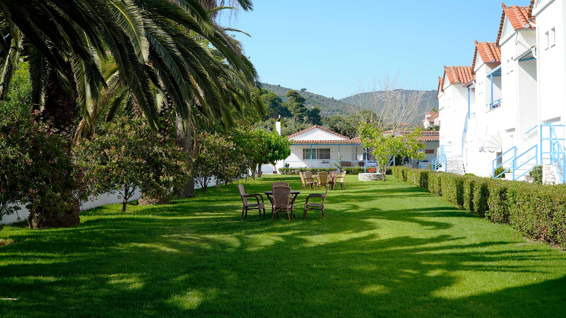 Moments of enjoyment in our huge, lush garden 7