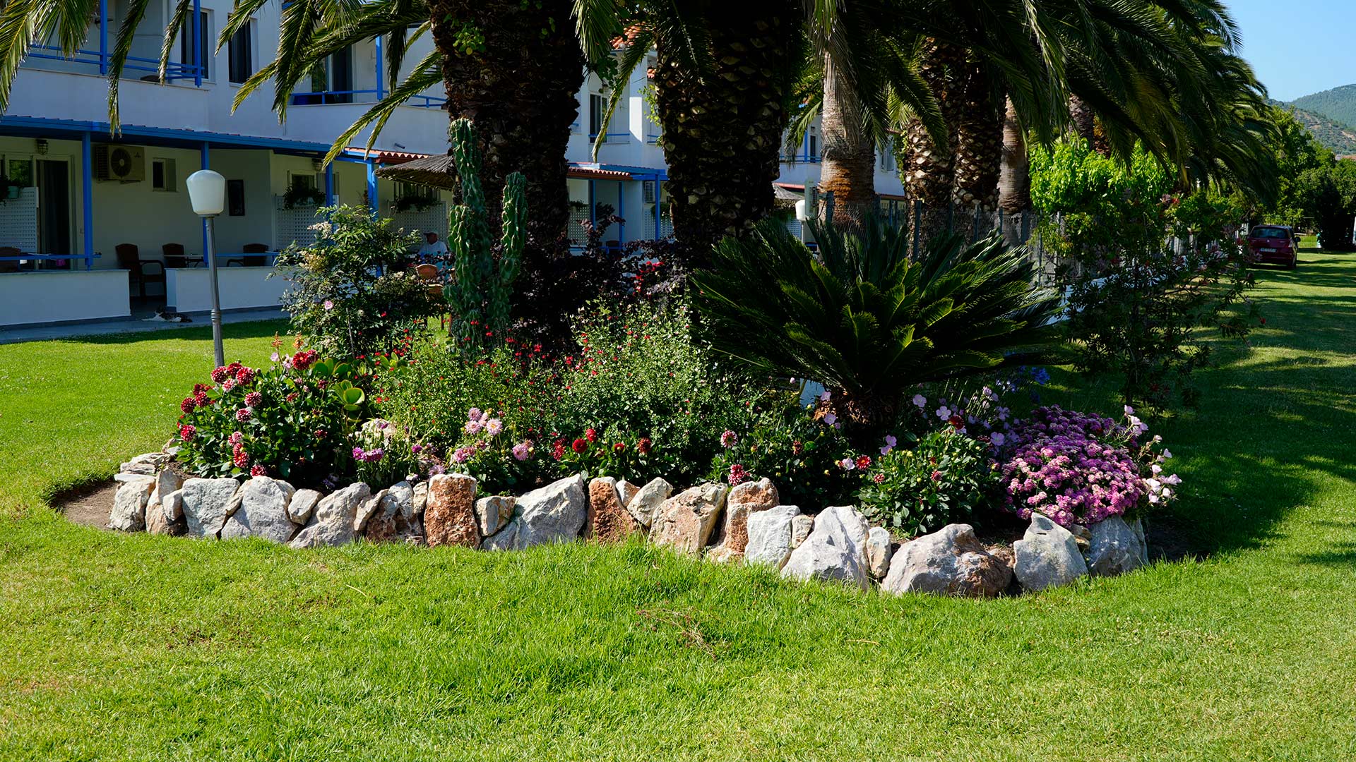 Moments of enjoyment in our huge, lush garden 5