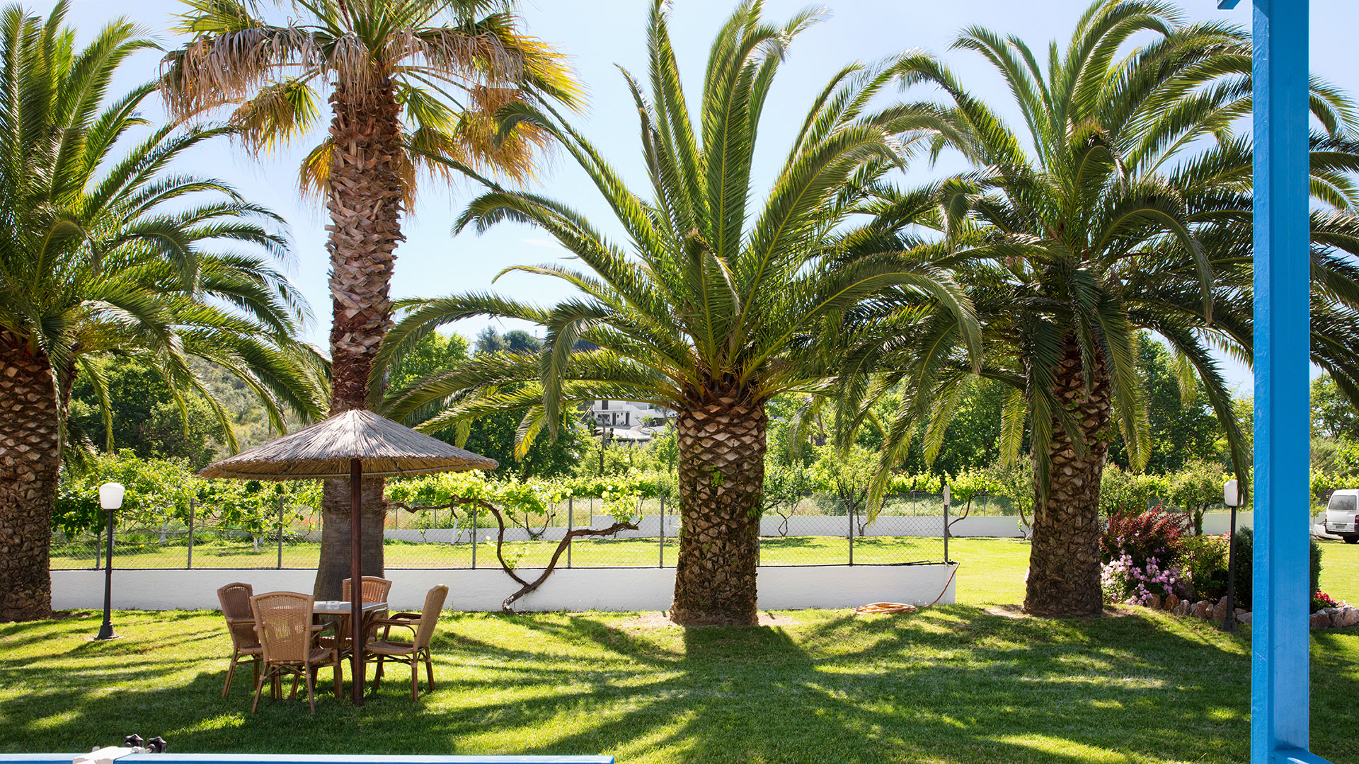 Moments of enjoyment in our huge, lush garden 1