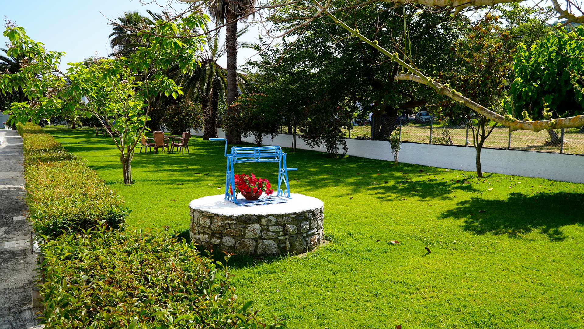 Moments of enjoyment in our huge, lush garden 8