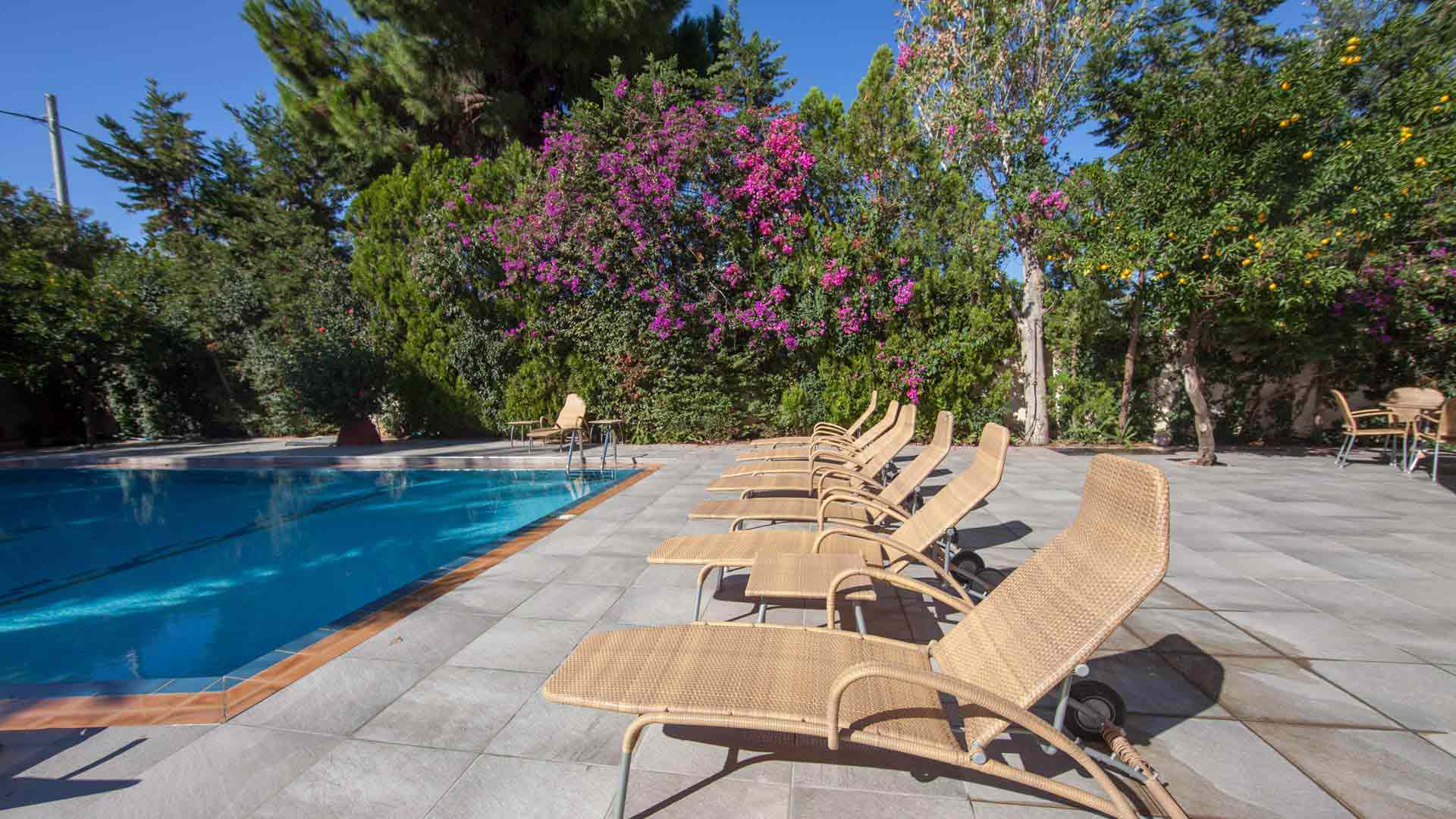 Image Free sun loungers and umbrellas