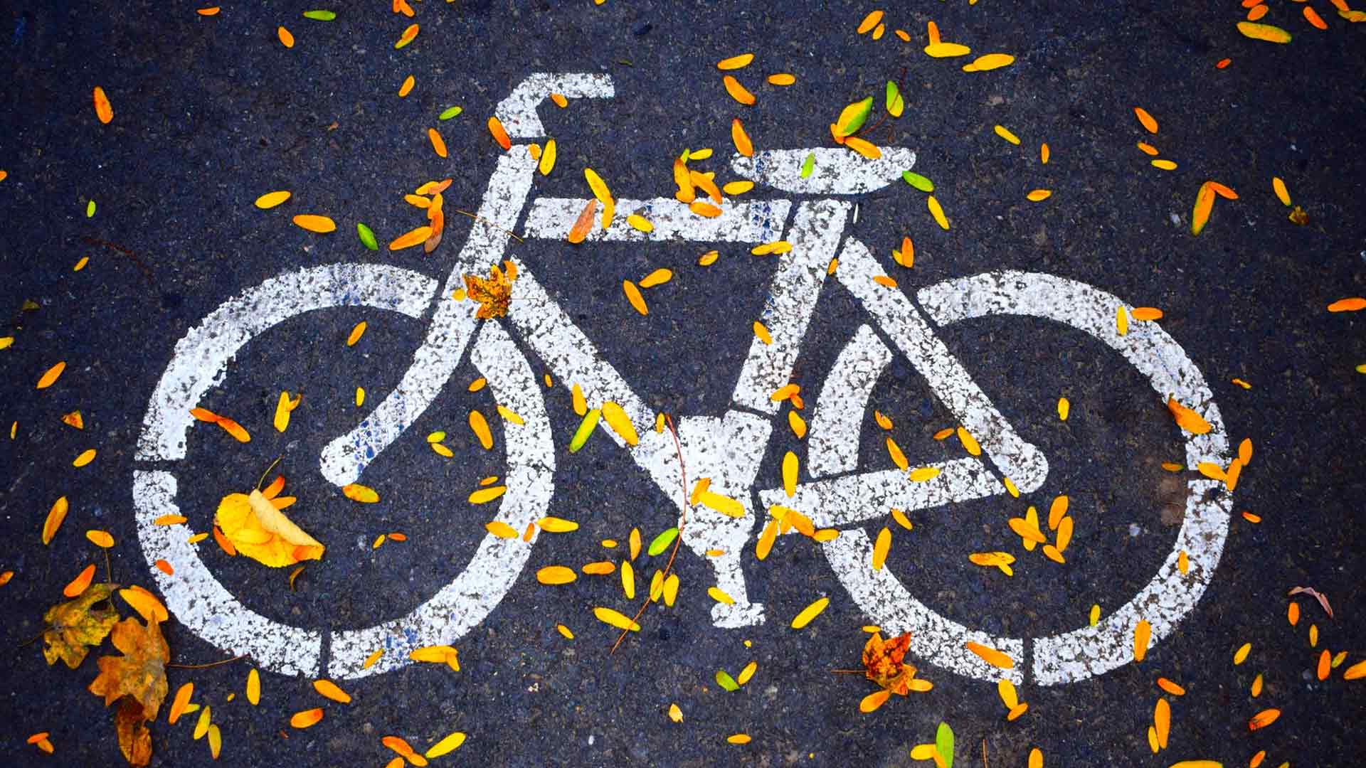 Image Free bicycles